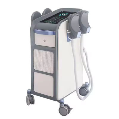 55 Inch Power 2000W EMS Body Slimming Machine For Beauty Salon Muscle Add Fat Reduction